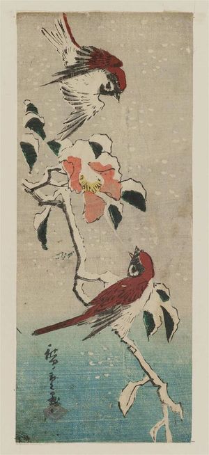 歌川広重: Sparrows and Camellia in Snow - ボストン美術館