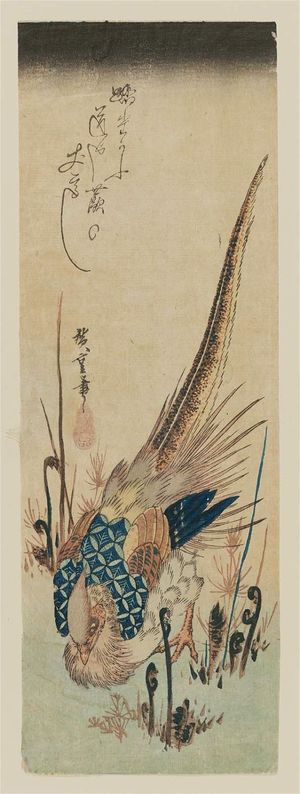 Utagawa Hiroshige: Golden Pheasant and Fern Shoots - Museum of Fine Arts