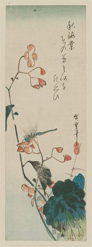 Utagawa Hiroshige: Dragonfly and Begonia - Museum of Fine Arts