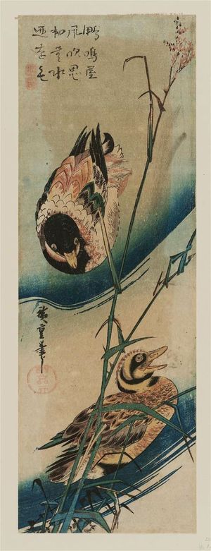 Utagawa Hiroshige: Ducks and Reeds - Museum of Fine Arts