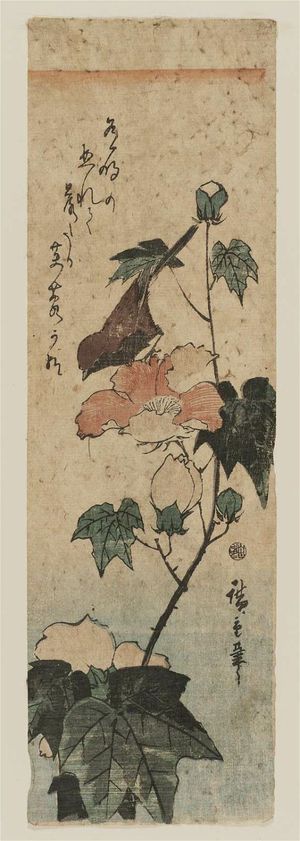 Utagawa Hiroshige: Bird on Hibiscus - Museum of Fine Arts