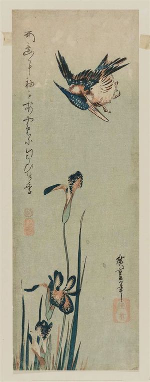 Utagawa Hiroshige: Kingfisher and Iris - Museum of Fine Arts