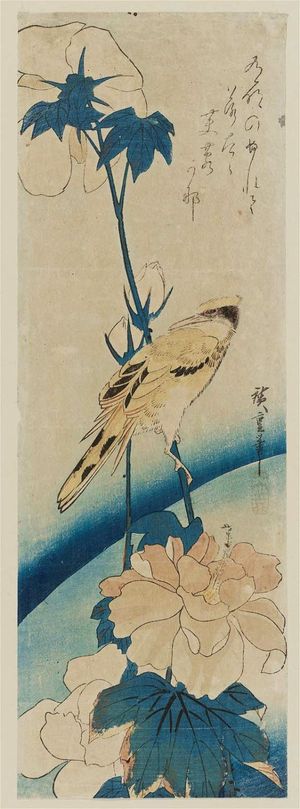 Utagawa Hiroshige: Hibiscus and Black-naped Oriole - Museum of Fine Arts