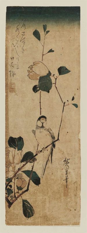 Utagawa Hiroshige: Camellia and Finch - Museum of Fine Arts