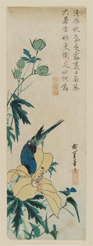 Utagawa Hiroshige: Bluebird and Hollyhock - Museum of Fine Arts