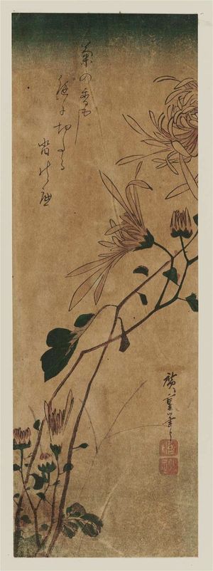 Utagawa Hiroshige: Chrysanthemums - Museum of Fine Arts