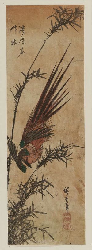 Utagawa Hiroshige: Golden Pheasant and Bamboo - Museum of Fine Arts