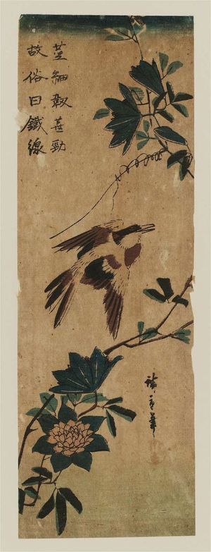 Utagawa Hiroshige: Oriole and Clematis - Museum of Fine Arts