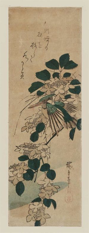 歌川広重: Kingfisher and Viburnum - ボストン美術館