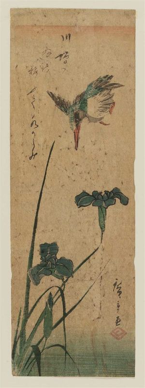 Utagawa Hiroshige: Kingfisher and Iris - Museum of Fine Arts