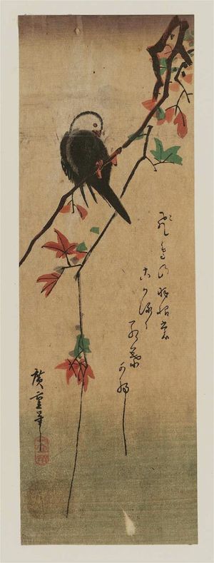 歌川広重: White-headed Bird on Maple Branch - ボストン美術館