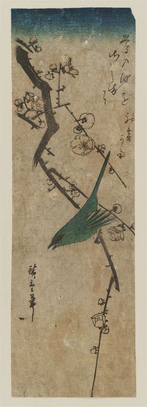 Utagawa Hiroshige: Warbler on Plum Branch - Museum of Fine Arts