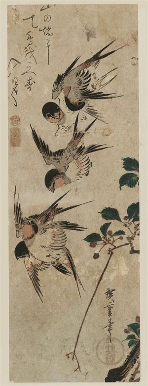 Japanese Print "Wild Cherry and Swallows" by Utagawa Hiroshige, 歌川広重 (Utagawa Hiroshige I)