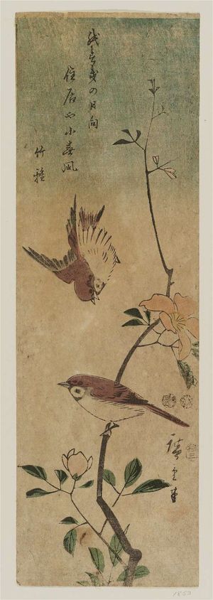 Utagawa Hiroshige: Sparrows and Camellia - Museum of Fine Arts