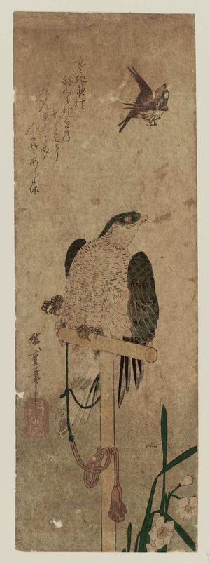 Utagawa Hiroshige: Falcon on Perch, Sparrow, and Narcissus - Museum of Fine Arts