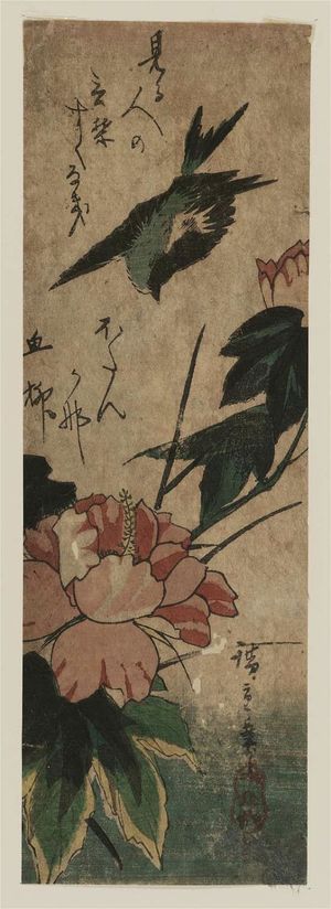 Utagawa Hiroshige: Swallow and Hibiscus - Museum of Fine Arts