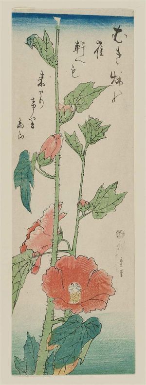 Utagawa Hiroshige: Hibiscus - Museum of Fine Arts