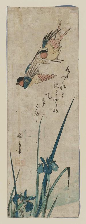 Utagawa Hiroshige: Flying Swallows and Iris - Museum of Fine Arts