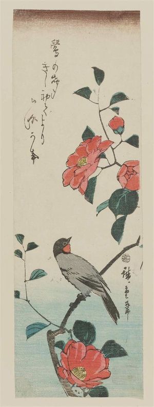 Utagawa Hiroshige: Camellia and Bulfinch - Museum of Fine Arts