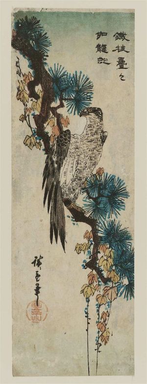 Utagawa Hiroshige: Falcon on an Ivy-draped Pine Branch - Museum of Fine Arts