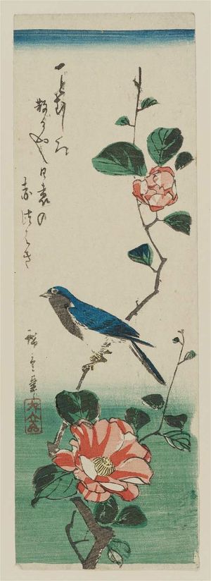 Utagawa Hiroshige: Bluebird on Camellia Branch - Museum of Fine Arts