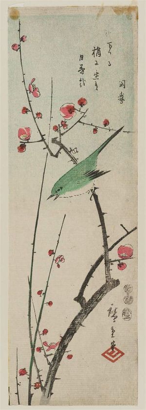 歌川広重: Warbler on Red Plum Branch - ボストン美術館