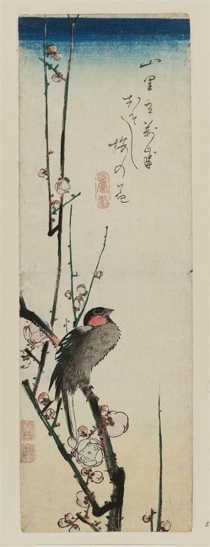 歌川広重: Red-cheeked Bird and Red Plum Blossoms - ボストン美術館