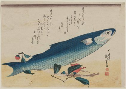 歌川広重: Mullet, Asparagus, and Camellia, from an untitled series known as Large Fish - ボストン美術館