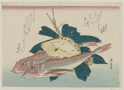歌川広重: Gurnards, Flatfish, and Bamboo Grass, from an untitled series known as Large Fish - ボストン美術館