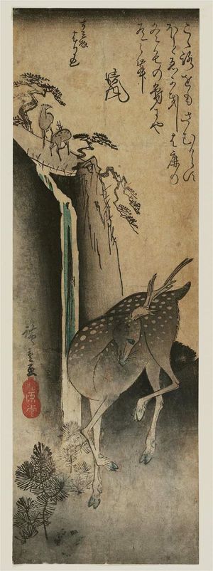 Utagawa Hiroshige: Deer and Waterfall - Museum of Fine Arts