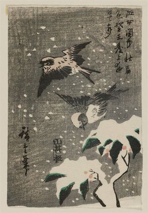 歌川広重: Sparrows and Snow-covered Nandina - ボストン美術館