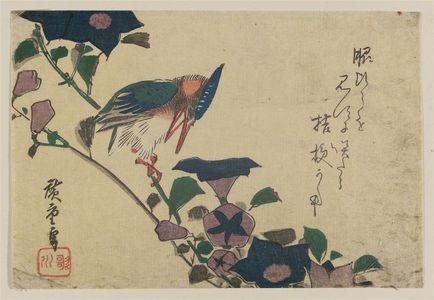 Utagawa Hiroshige: Bellflowers and Kingfisher - Museum of Fine Arts