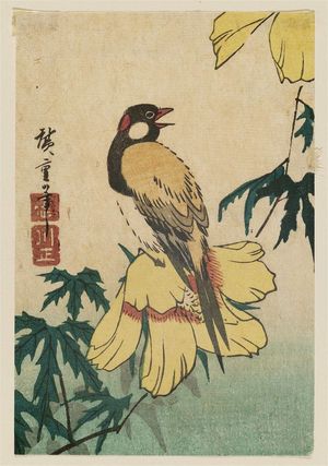 Utagawa Hiroshige: Bird on Yellow Hibiscus - Museum of Fine Arts