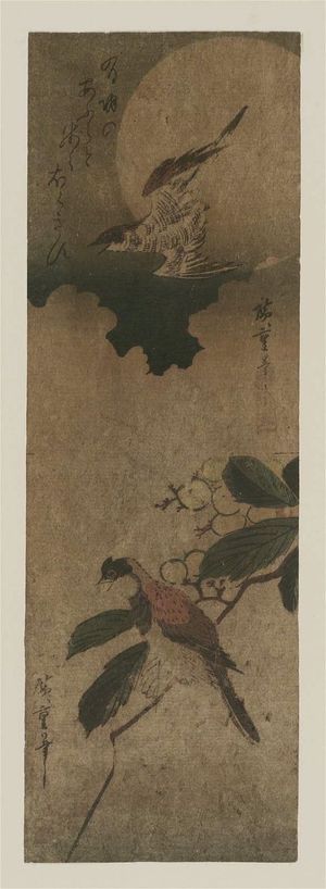 Utagawa Hiroshige: Cuckoo and Full Moon (top); Bird on Loquat Branch (bottom) - Museum of Fine Arts