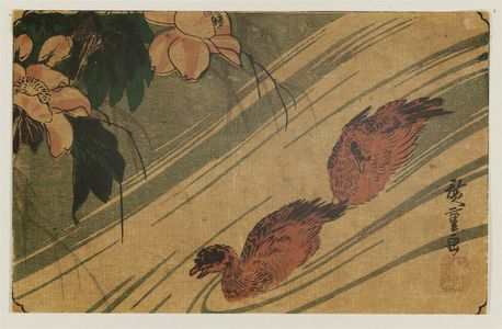 Utagawa Hiroshige: Hibiscus and Ducks - Museum of Fine Arts