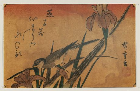 Utagawa Hiroshige: Irises and Wagtail - Museum of Fine Arts