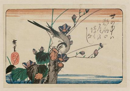 Utagawa Hiroshige, 歌川広重 (Utagawa Hiroshige I)による浮世絵「Wagtail and Bellflowers」