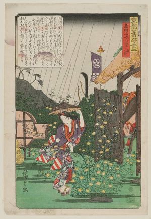 Utagawa Hiroshige: The Old Story of the Village of Kerria Roses in Takada (Takada yamabuki no sato, koji), from the series A Compendium of Historical Sites in the Eastern Capital (Tôto kyûseki zukushi) - Museum of Fine Arts