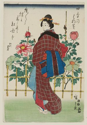 歌川広重: Peonies, from the series Flower Gardens in the Four Seasons (Shiki no hanazono) - ボストン美術館