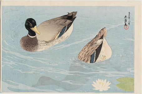 Hashiguchi Goyo: Two Ducks - Museum of Fine Arts