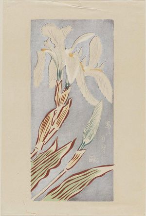 Asada: Iris (Airisu) - ボストン美術館