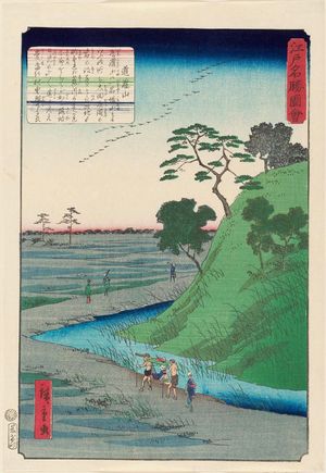 二歌川広重: Dôkan Hill (Dôkan-yama), from the series Views of Famous Places in Edo (Edo meishô zue) - ボストン美術館