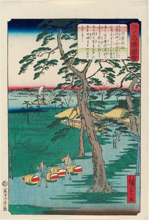 Utagawa Hiroshige II: Shirahige Myôjin Shrine (Shirahige Myôjin), from the series Views of Famous Places in Edo (Edo meishô zue) - Museum of Fine Arts