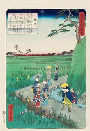 Utagawa Hiroshige II: Horikiri, from the series Views of Famous Places in Edo (Edo meishô zue) - Museum of Fine Arts