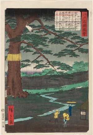 Utagawa Hiroshige II: The Pine Tree of the Imperial Procession (Miyuki no matsu), from the series Views of Famous Places in Edo (Edo meishô zue) - Museum of Fine Arts