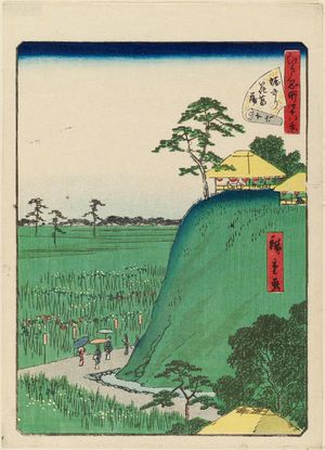 二歌川広重: No. 16, Irises at Horikiri (Horikiri hanashôbu), from the series Forty-Eight Famous Views of Edo (Edo meisho yonjûhakkei) - ボストン美術館