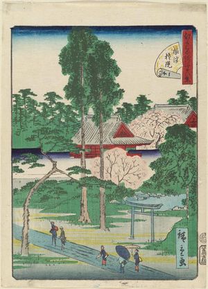 二歌川広重: No. 11, Nezu Gongen Shrine (Nezu Gongen), from the series Forty-Eight Famous Views of Edo (Edo meisho yonjûhakkei) - ボストン美術館