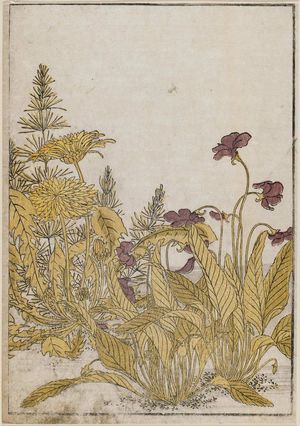 勝川春章: Violets and Dandelions, Seiro Bijin Awase Sugata Kagami - vol. of 