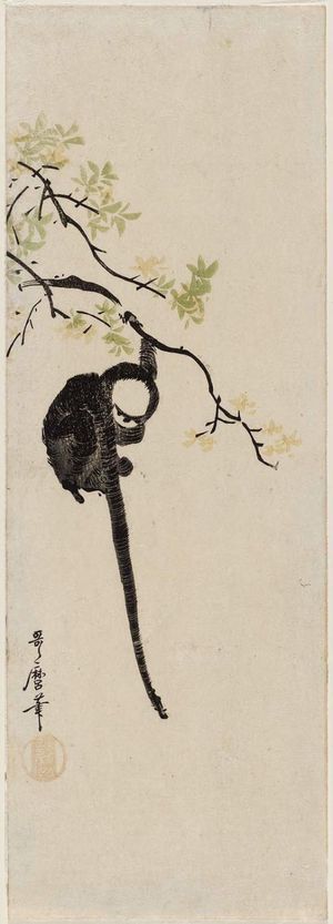 Kitagawa Utamaro: Gibbon Hanging from Branch - Museum of Fine Arts