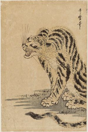 Kitagawa Utamaro: Tiger - Museum of Fine Arts